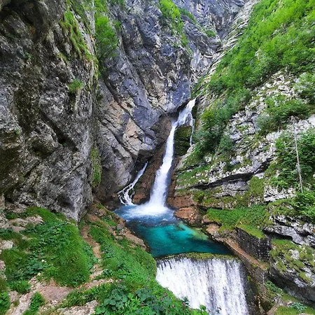 Appartement Apartma Med Krosnjami Bohinj