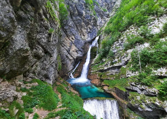 Apartamento Apartma Med Krosnjami Bohinj